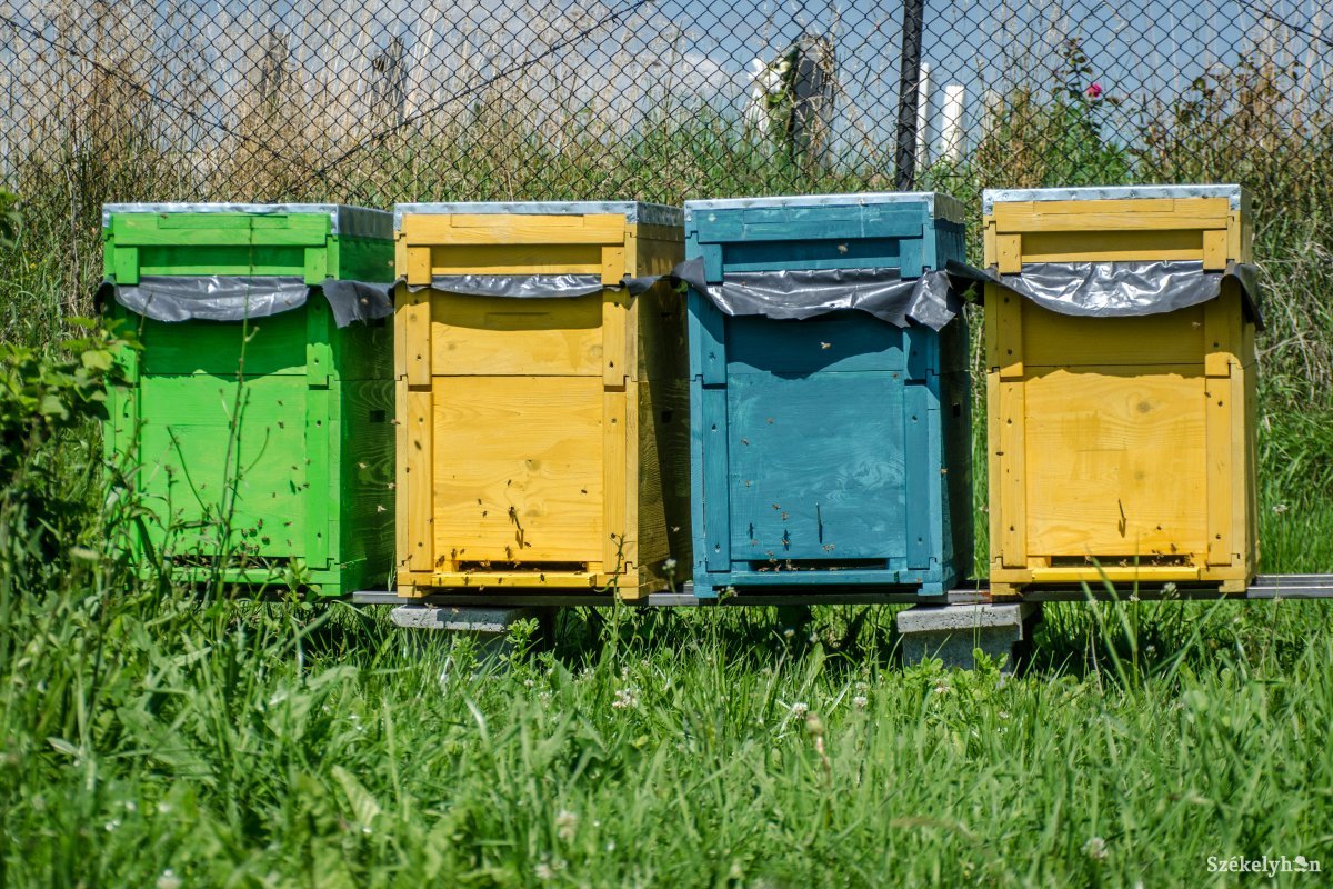Közeledő határidő méhészeknek