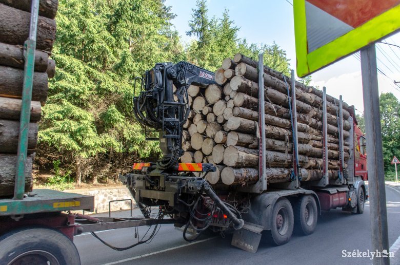 Erdészeti bűncselekmények: faanyagot, járműveket kobozott el a rendőrség