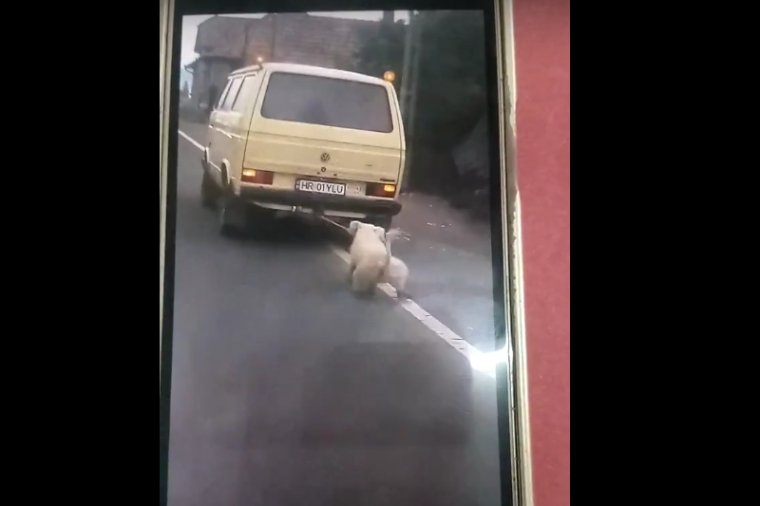 Azonosították a kutyáját autóval vonszoló csíkszentkirályi férfit
