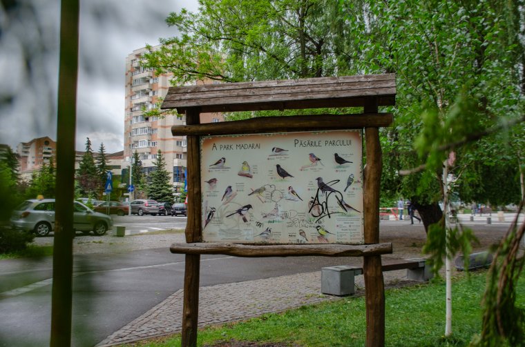 Meg lehet ismerkedni a csíkszerdeai központi park élővilágával