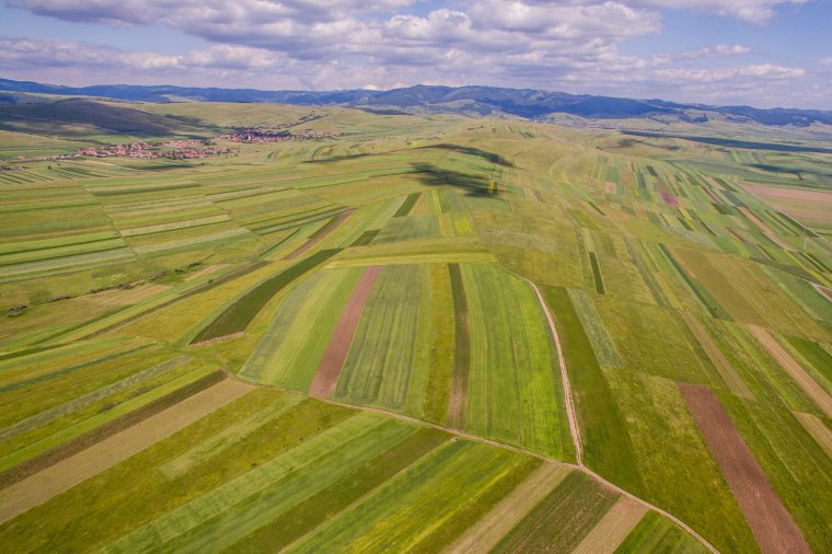 Kevesebb a megművelt föld – a kaszálók összterülete nőtt, de a szántóké csökkent tavalyhoz képest