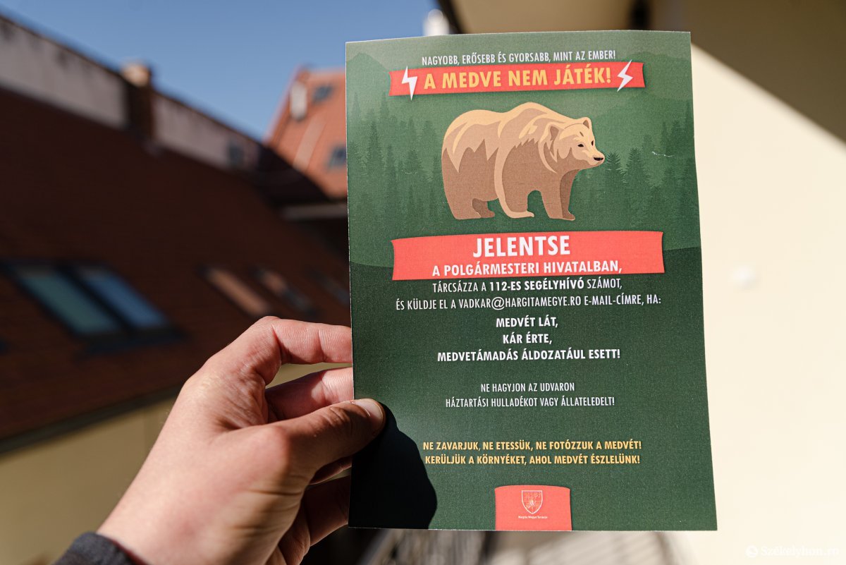 Elengedhetetlen a kárbejelentés: figyelemfelkeltő kampányt indítottak a medvehelyzet miatt