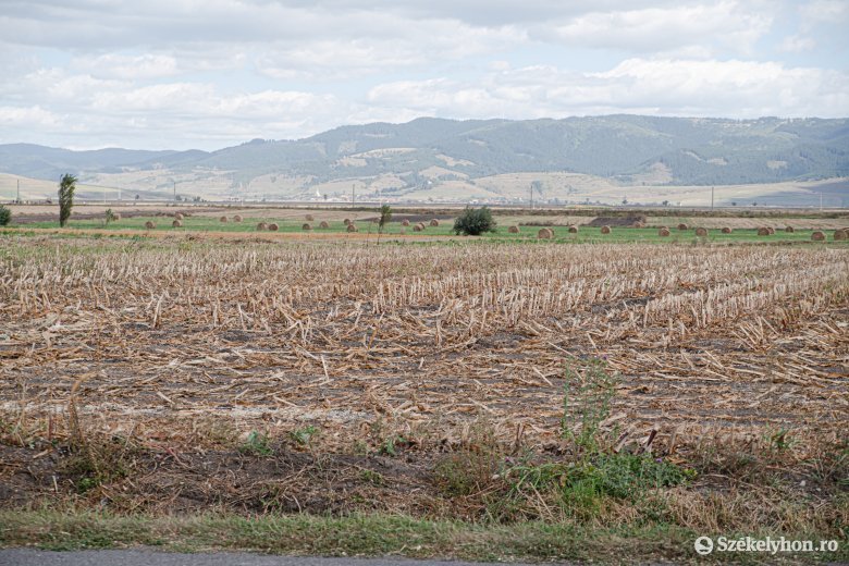 Meghaladta az egymillió hektárt az aszály sújtotta termőföldek területe