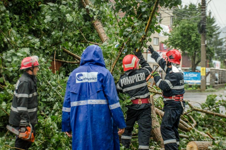 Háztetőket sodort le és fákat döntött ki a heves szél Hunyad megyében