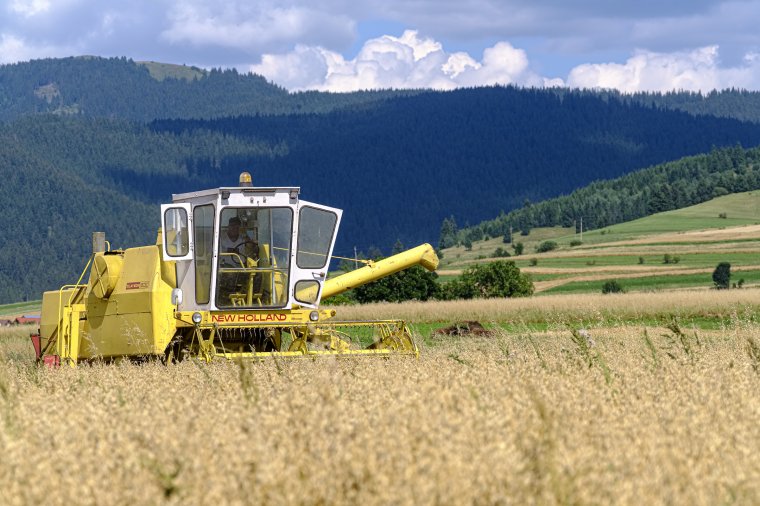 Az Ukrajnából érkező gabona Romániában továbbra is lenyomja a magasabb világpiaci árakat