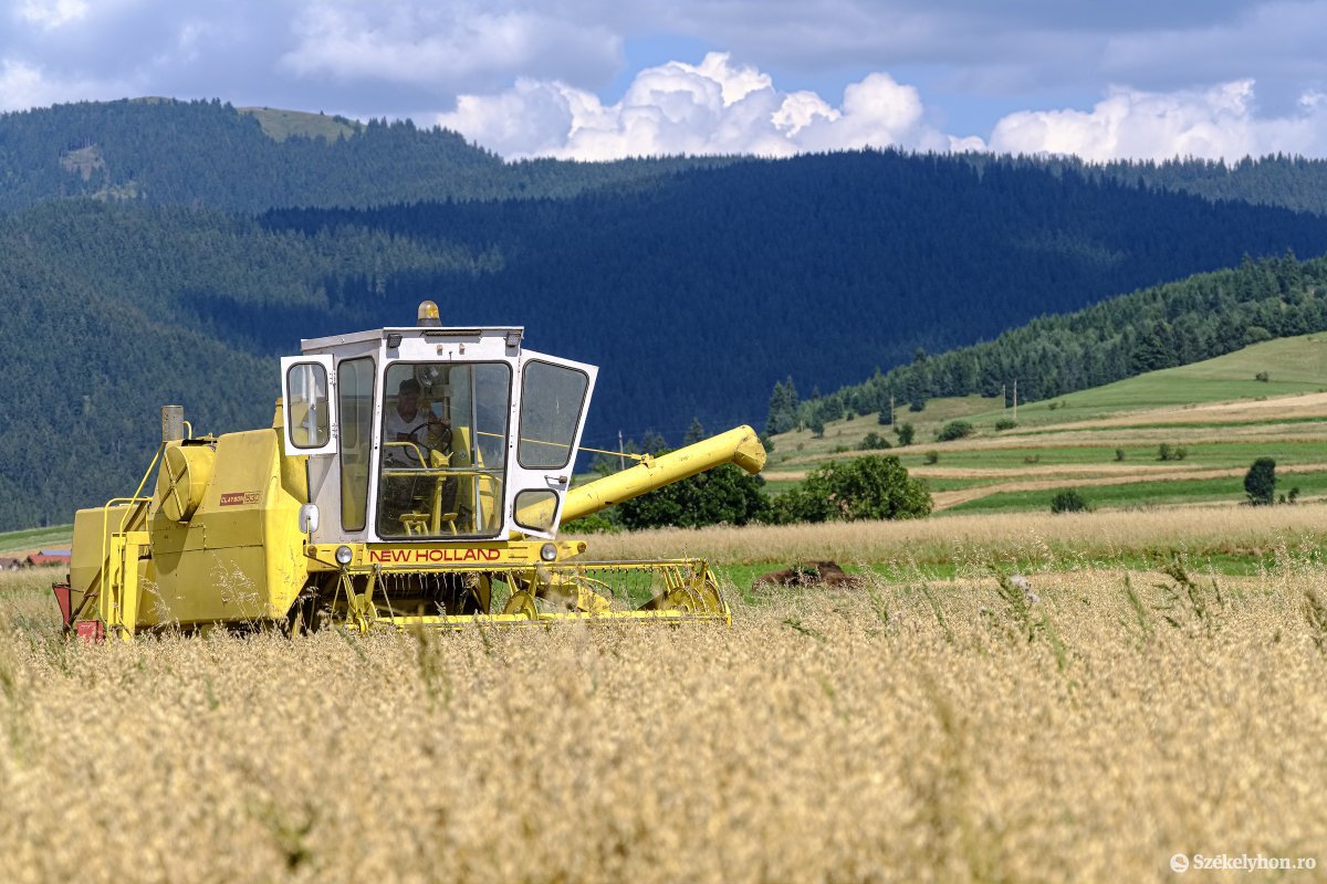 Az Ukrajnából érkező gabona Romániában továbbra is lenyomja a magasabb világpiaci árakat
