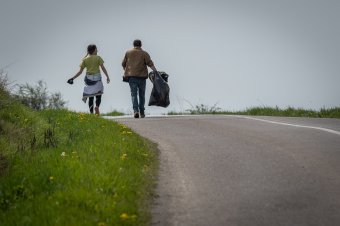 Külföldi önkéntesek teszik szebbé a Pacsirta sétányt