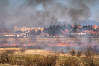 A Hargita megyei tűzoltóság ellenőrzésekbe kezd az egyre gyakoribb tarlóégetések miatt