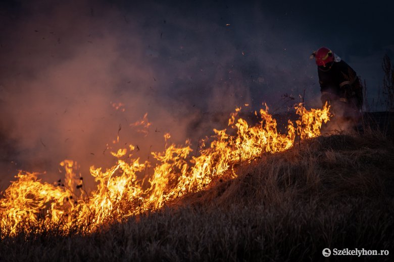 Természetvédelmi területek is lángoltak Hargita megyében, rengeteg gazda veszítette el a mezőgazdasági támogatást