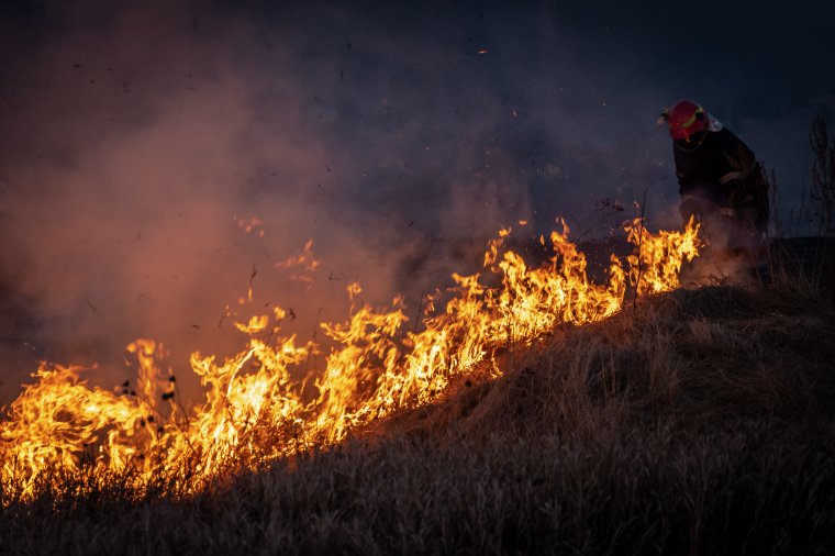 Dísznövények váltak a lángok martalékává egy Maros megyei településen