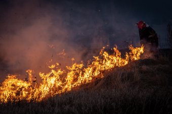 Természetvédelmi területek is lángoltak Hargita megyében, rengeteg gazda veszítette el a mezőgazdasági támogatást