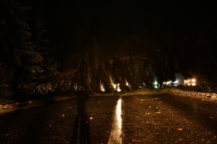 Több Hargita megyei utat is lezártak a kidőlt fák miatt  – frissítve