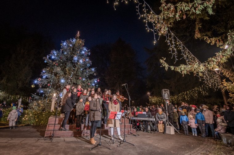 Karácsonyi koncerttel ajándékozza meg az érdeklődőket az Árvácska együttes