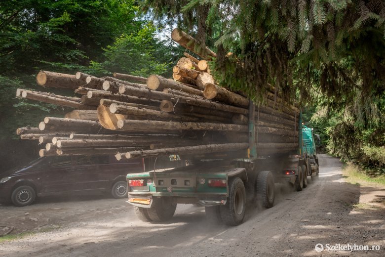 „Erdőprivatizációtól” tartanak a tüntető erdészek, a zöldtárca új műholdas erdőfigyelő-rendszert indít