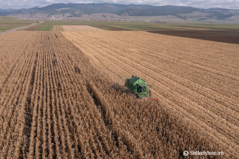 Sok pénzt „vetnek” a gyengélkedő romániai mezőgazdaságnak