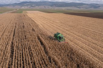 Sok pénzt „vetnek” a gyengélkedő romániai mezőgazdaságnak