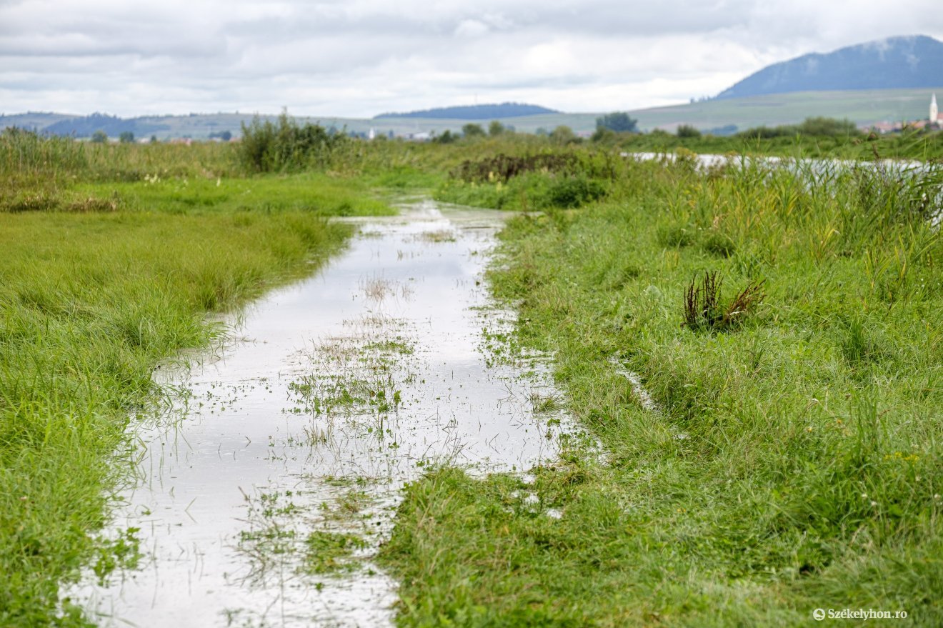 Árvízriasztást adtak ki a hidrológusok, Hargita és Maros megyei folyók is érintettek
