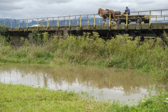 Tizenhárom erdélyi folyó vízgyűjtő medencéjére rendeltek el árvízkészültséget