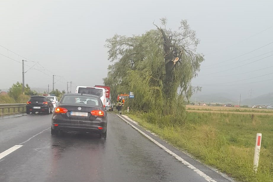 Már dőlnek a fák a viharos időjárás miatt Hargita megyében