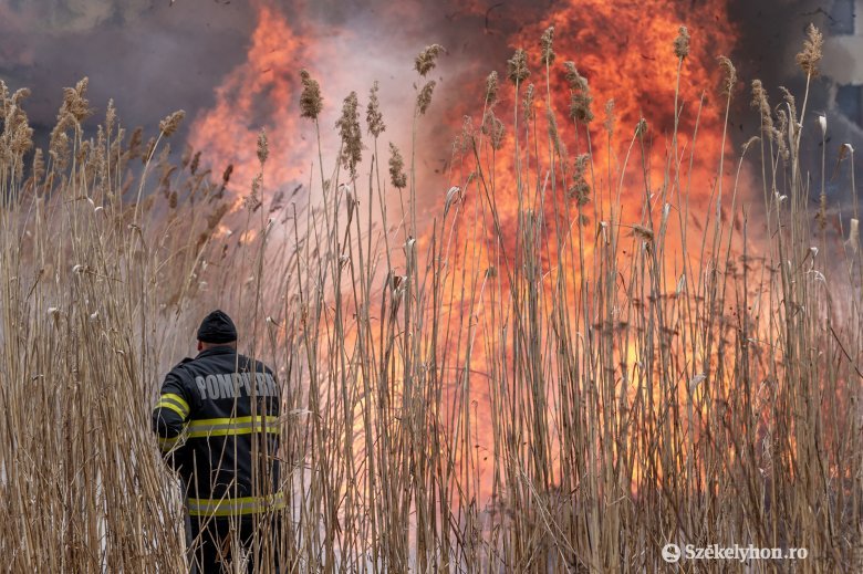 Tavaly több mint félmillió hektárnyi terület vált a lángok martalékává az Európai Unió területén
