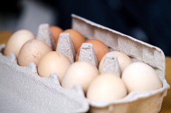 Árrobbanás: több mint 70 százalékkal drágult a tojás tavaly március óta