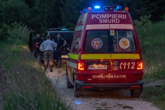 Lábon harapott a medve egy férfit Beszterce-Naszód megyében, a Székelyföldön gombászókra támadt a nagyvad