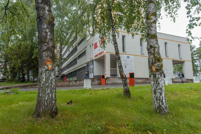 Építkezés miatt vágnak ki fákat a csíkszeredai kórháznál