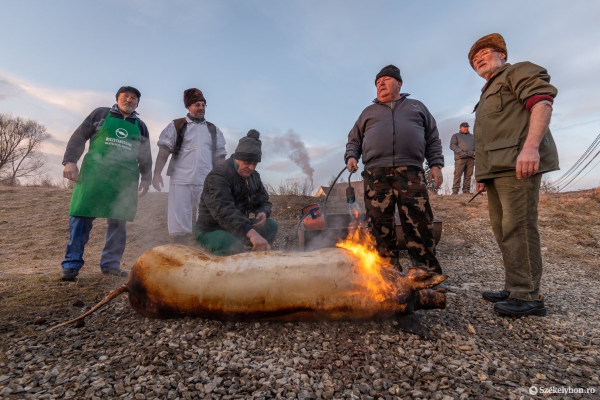 Moldvába és Bukovinába költözött madéfalviak leszármazottai, illetve a helyiek hagyományos disznóvágási ünnepélyen mutatták be, mit tanultak elődeiktől január elején •  Fotó: Pinti Attila