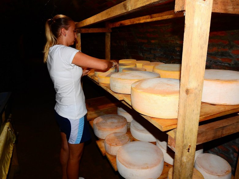 Jó sajtnak az Érmelléken is mindig van piaca
