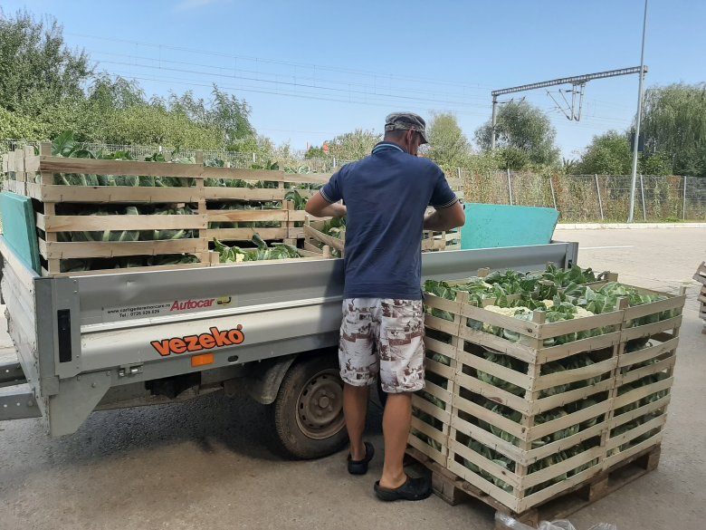 Friss zöldség kisgazdáktól a nagyáruházakban: a Kolozs megyei Kis-Szamos Rét Mezőgazdasági Szövetkezet sikertörténetté vált