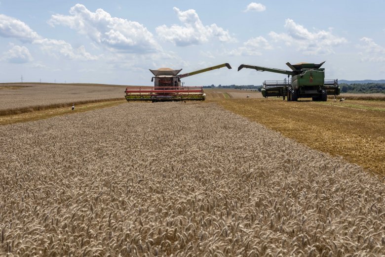 A szárazföldön szállított ukrán gabona 97 százaléka az Unióban marad – Több tagország a tilalom meghosszabbítását kéri