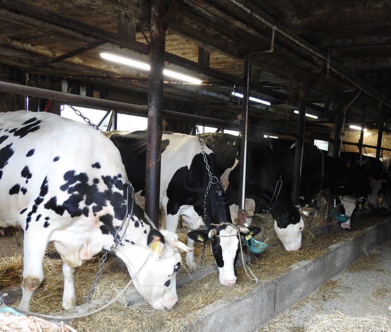 Az APIA székházába várják a támogatást igénylő állattenyésztő gazdákat