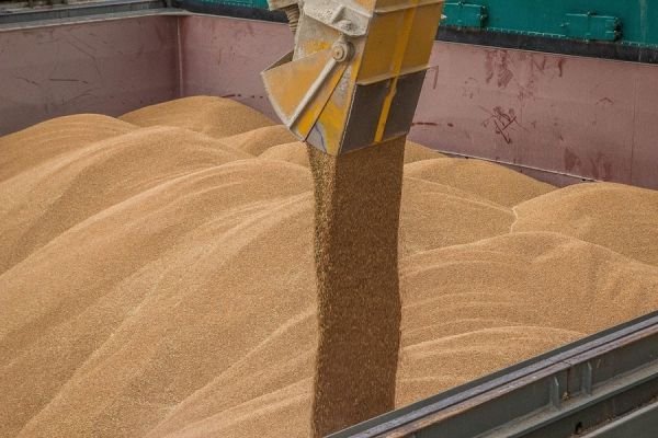 Washington: Románia az ukrán gabona exportjának legfőbb segítője