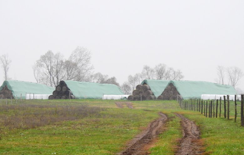 Legnehezebb időszakát éli a romániai állattenyésztés, a minisztérium nem segíti a gazdákat