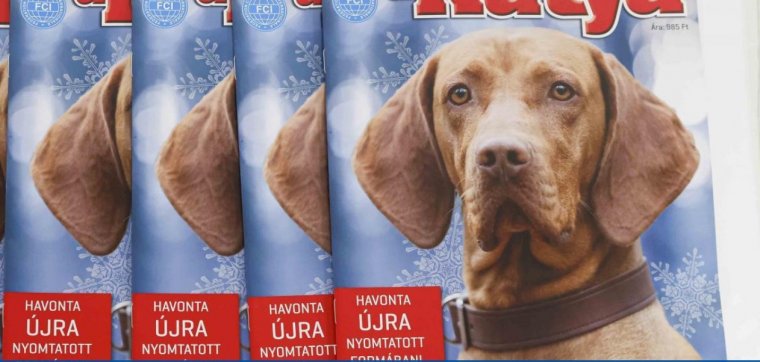 Örömhír a magyar ebfajták tartóinak: ismét megjelenik A kutya című magazin