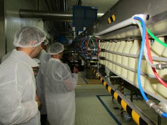 Bezárja két romániai tejgyárát a francia Lactalis