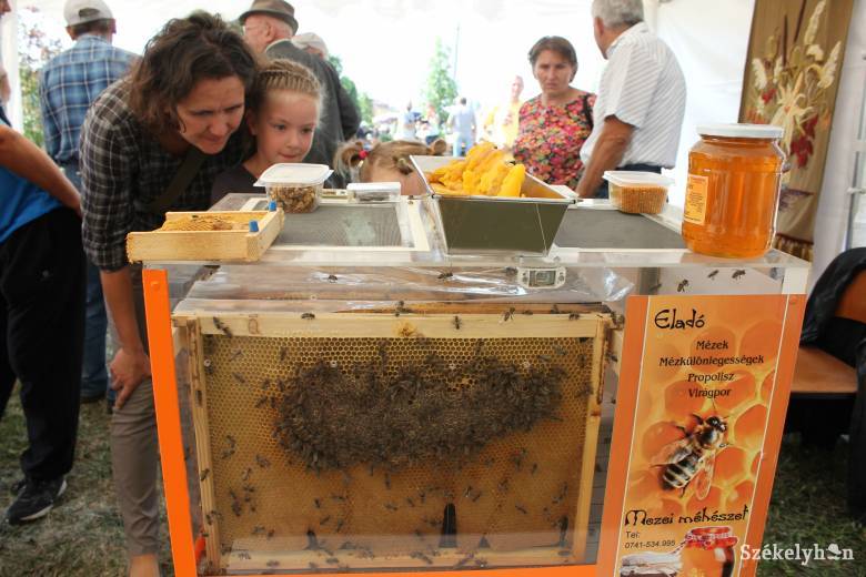 Országos Méhészeti Program: több mint ötezer méhész nyújtott be igénylést a támogatásokra