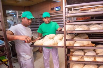 Maradnak a kenyérsütő részlegen az ázsiai vendégmunkások, akikhez továbbiak csatlakozhatnak Ditróban