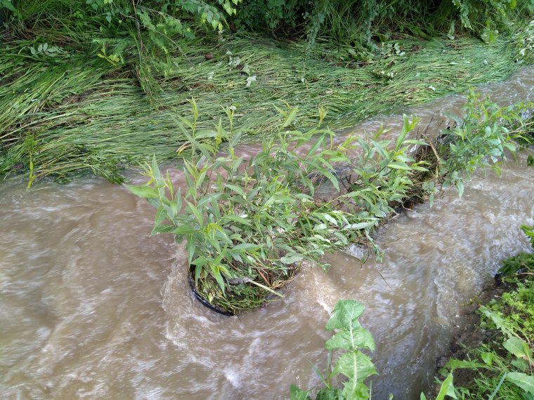 Másodfokú árvízriasztás van érvényben a Túr és a Kraszna Szatmár megyei szakaszán