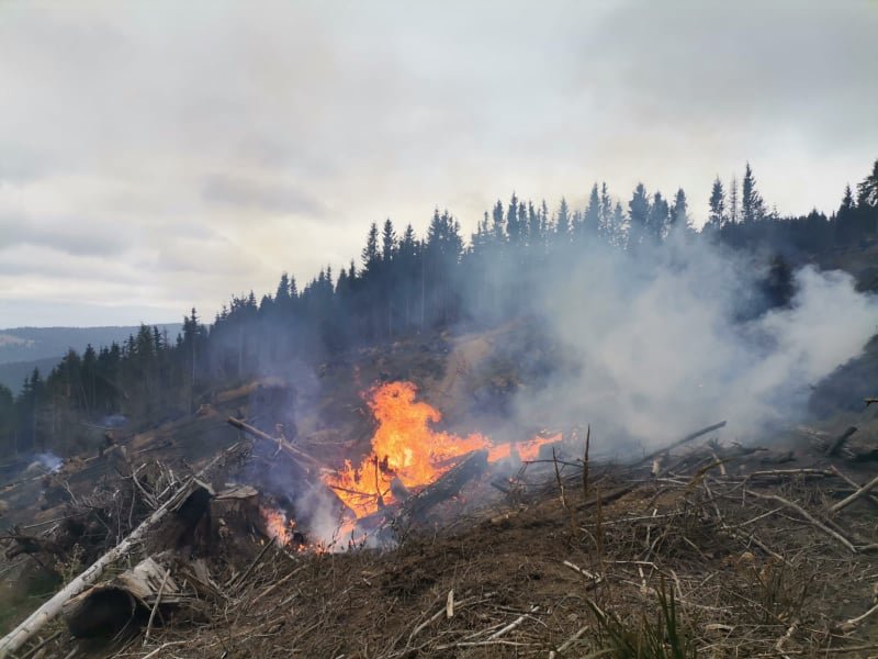 Mintegy öt hektár erdőgazdálkodási terület égett le Gyergyószéken
