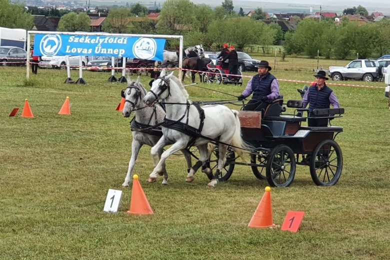 A lovas hagyományok és sport ünnepe Ditróban