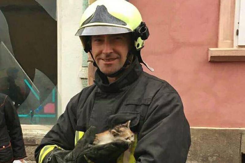 Motorháztető alá szorult macskát mentettek a tűzoltók