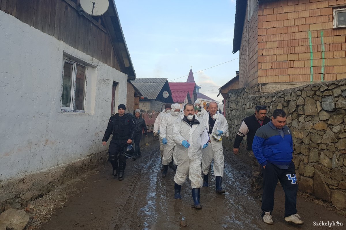 Eddig 143 disznót pusztítottak el a sertéspestis miatt Kovászna megyében