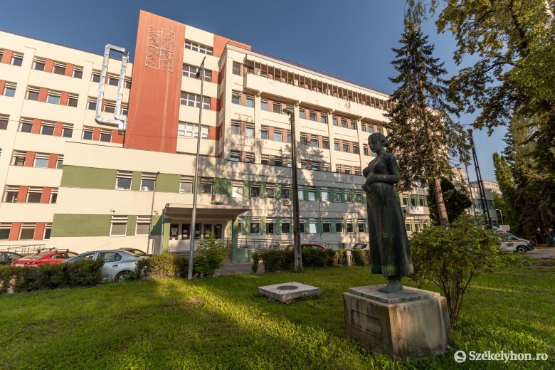 Két kérdésben kellett dönteniük