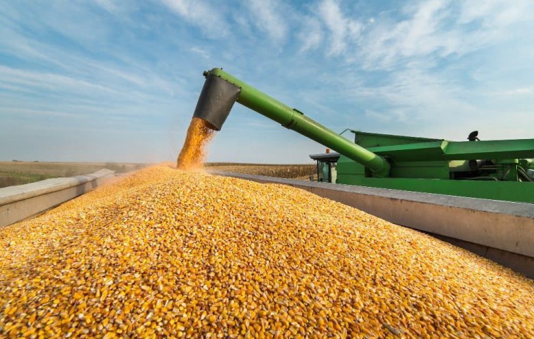 Az ukrán gabonaexport 60 százaléka halad keresztül Románián, a hazai gazdák banikért értékesítik termésüket