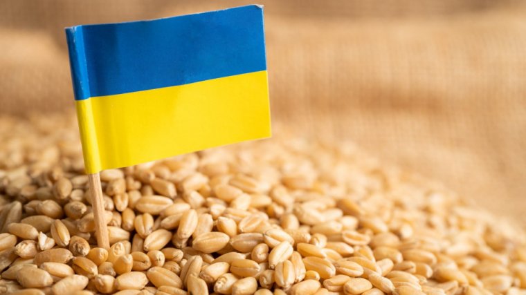 A gabonát kiöntő lengyel gazdák felelősségre vonását követeli az ukrán kormányfőhelyettes