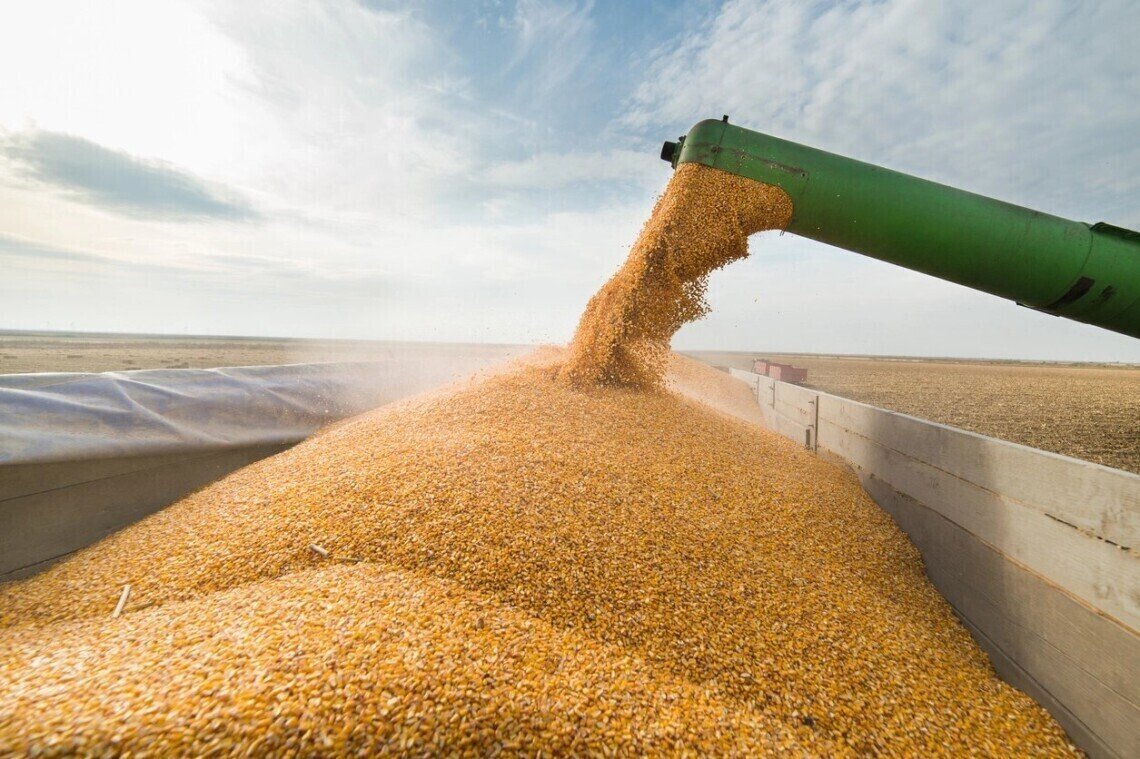 Ennyi tonna ukrán búza és kukorica haladt át az év eleje óta Románián