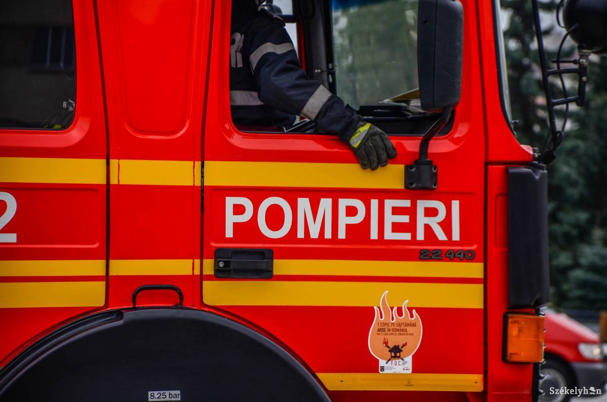 Több tonnányi fűrészpor és fahulladék semmisült meg a Schweighofer egyik gyáránál keletkezett tűzben