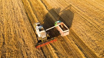 Kijev az értesülések szerint elfogadta a gabonaexporttal kapcsolatos román feltételeket