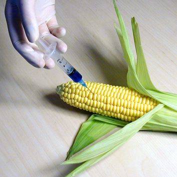Új megállapodás GMO-ügyben